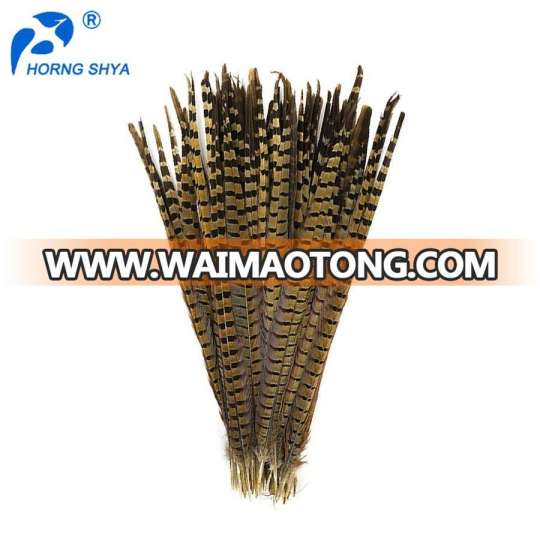 Wholesale Cheap Natural and Coloured Ringneck Pheasant Tail Feathers